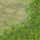 27/65